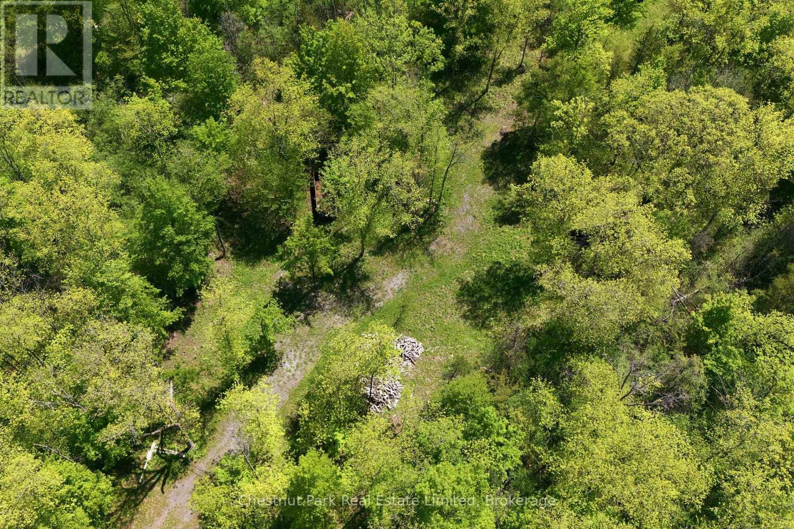 12195 Loyalist Parkway, Prince Edward County, Ontario  K0K 2T0 - Photo 10 - X13070694