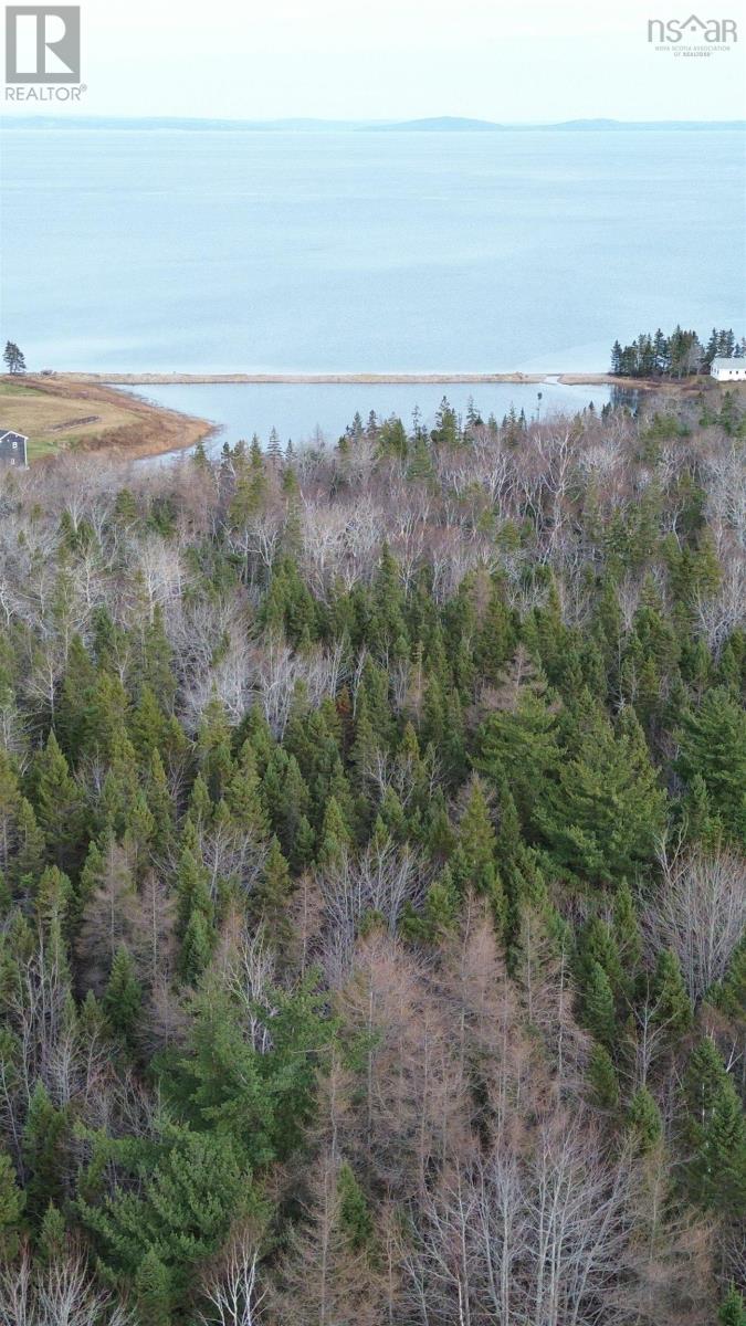 Lot 9 West Bay Highway, Roberta, Nova Scotia  B0E 3B0 - Photo 40 - 202527026
