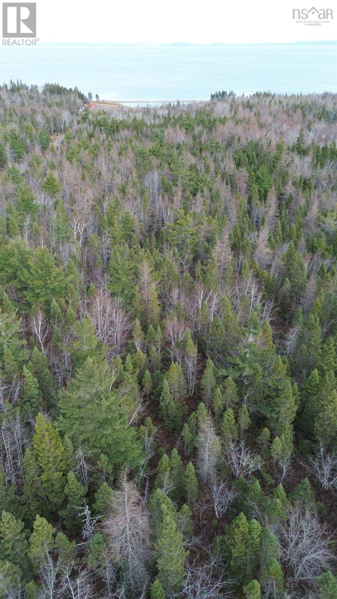 Lot 9 West Bay Highway, Roberta, Nova Scotia  B0E 3B0 - Photo 4 - 202527026