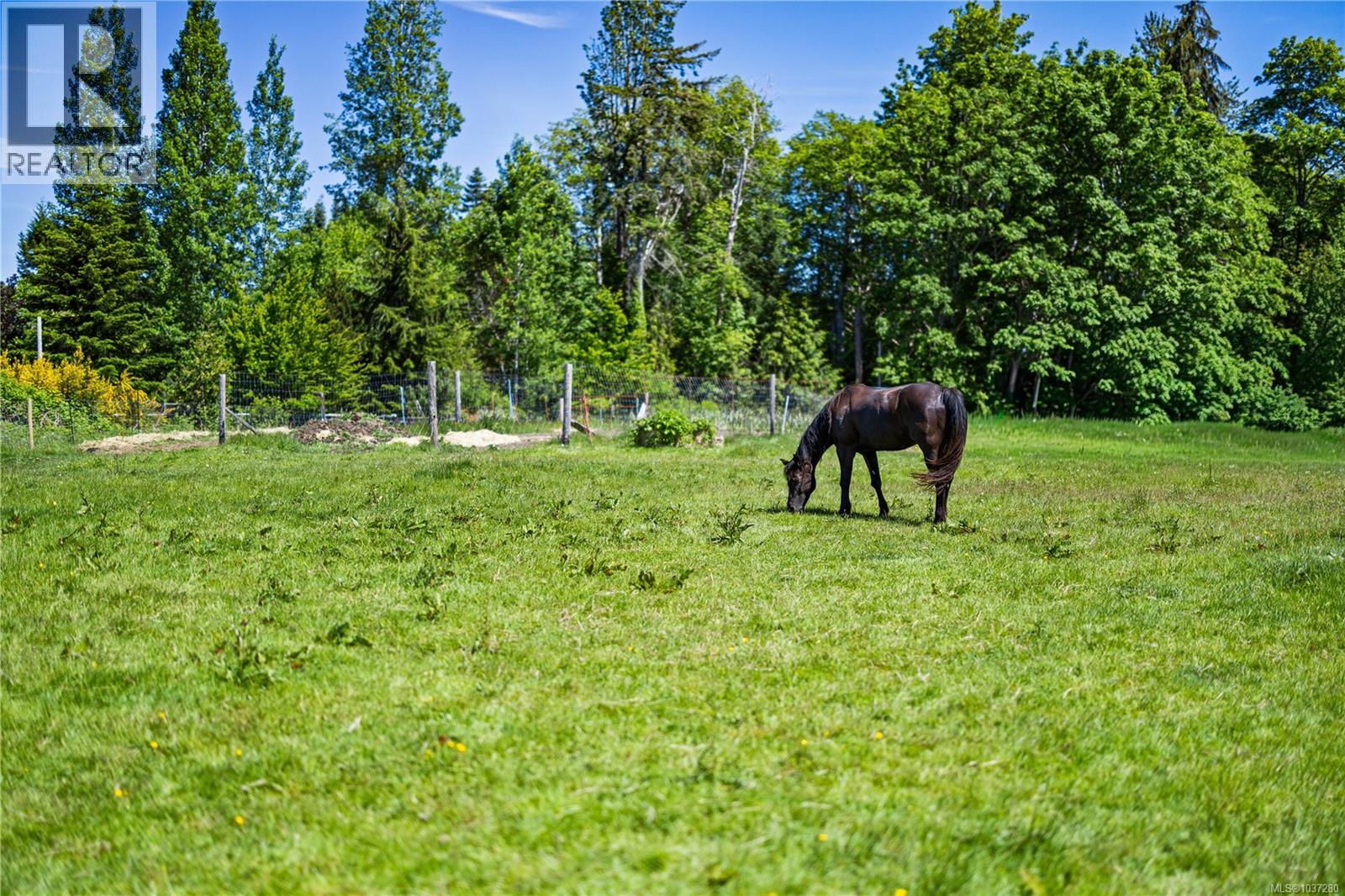 Lot A Castle Dr, Campbell River, British Columbia  V9H 1K9 - Photo 19 - 1037280