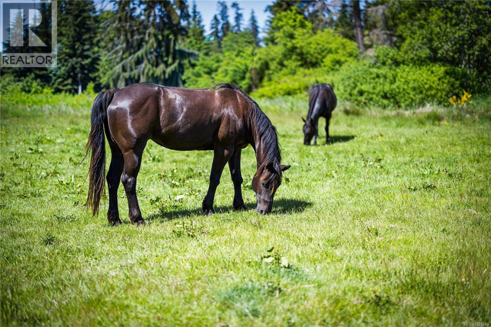 Lot A Castle Dr, Campbell River, British Columbia  V9H 1K9 - Photo 20 - 1037280