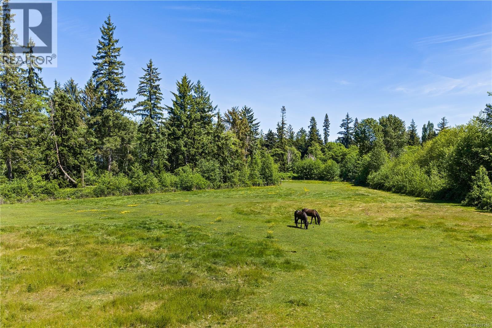 Lot A Castle Dr, Campbell River, British Columbia  V9H 1K9 - Photo 21 - 1037280