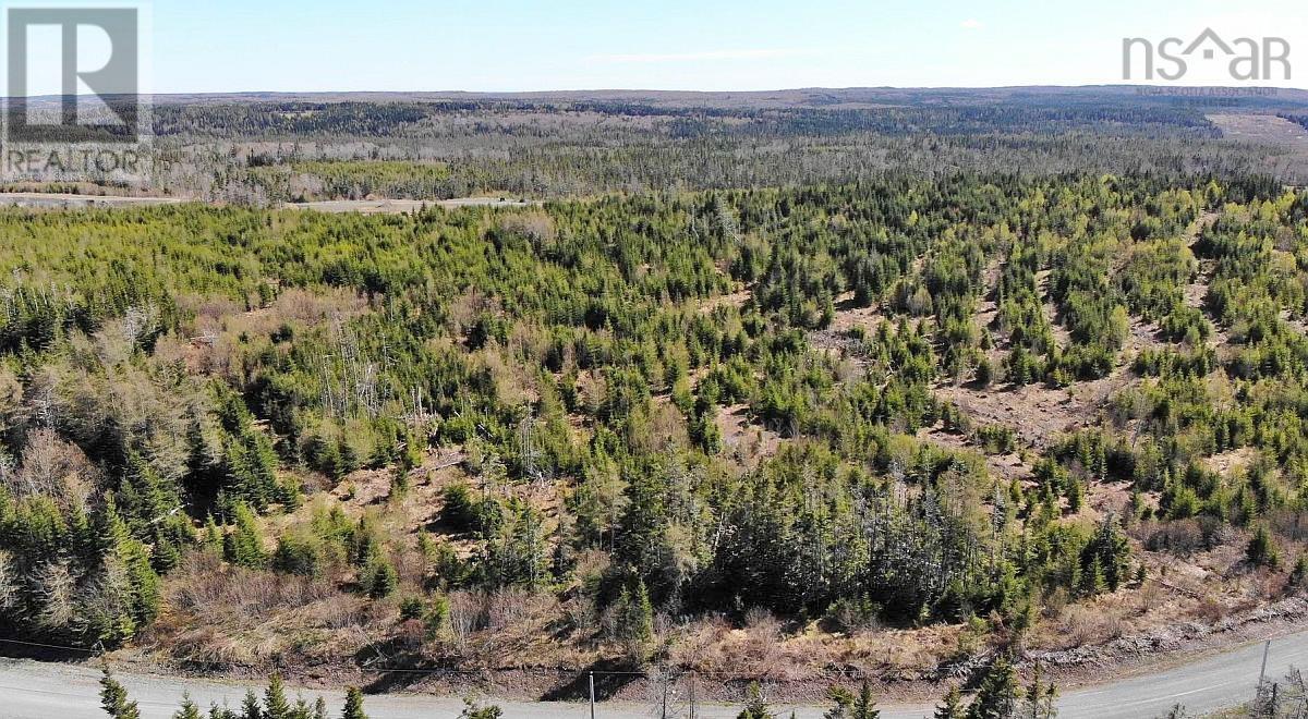 Lot 3 Rear Big Cove Road, Soldiers Cove, Nova Scotia  B0E 3B0 - Photo 11 - 202517506