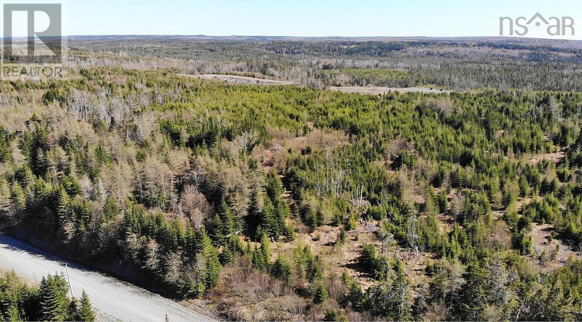 Lot 3 Rear Big Cove Road, Soldiers Cove, Nova Scotia  B0E 3B0 - Photo 12 - 202517506
