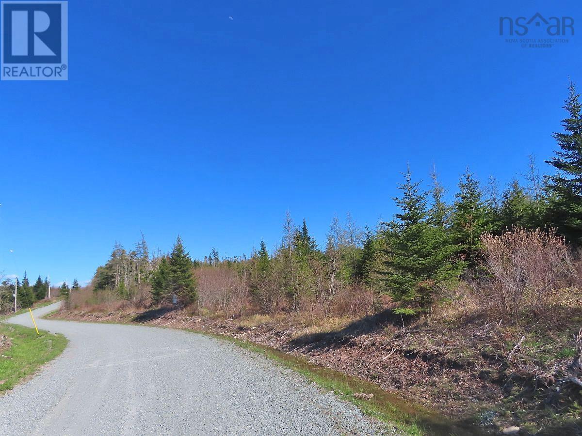Lot 3 Rear Big Cove Road, Soldiers Cove, Nova Scotia  B0E 3B0 - Photo 1 - 202517506