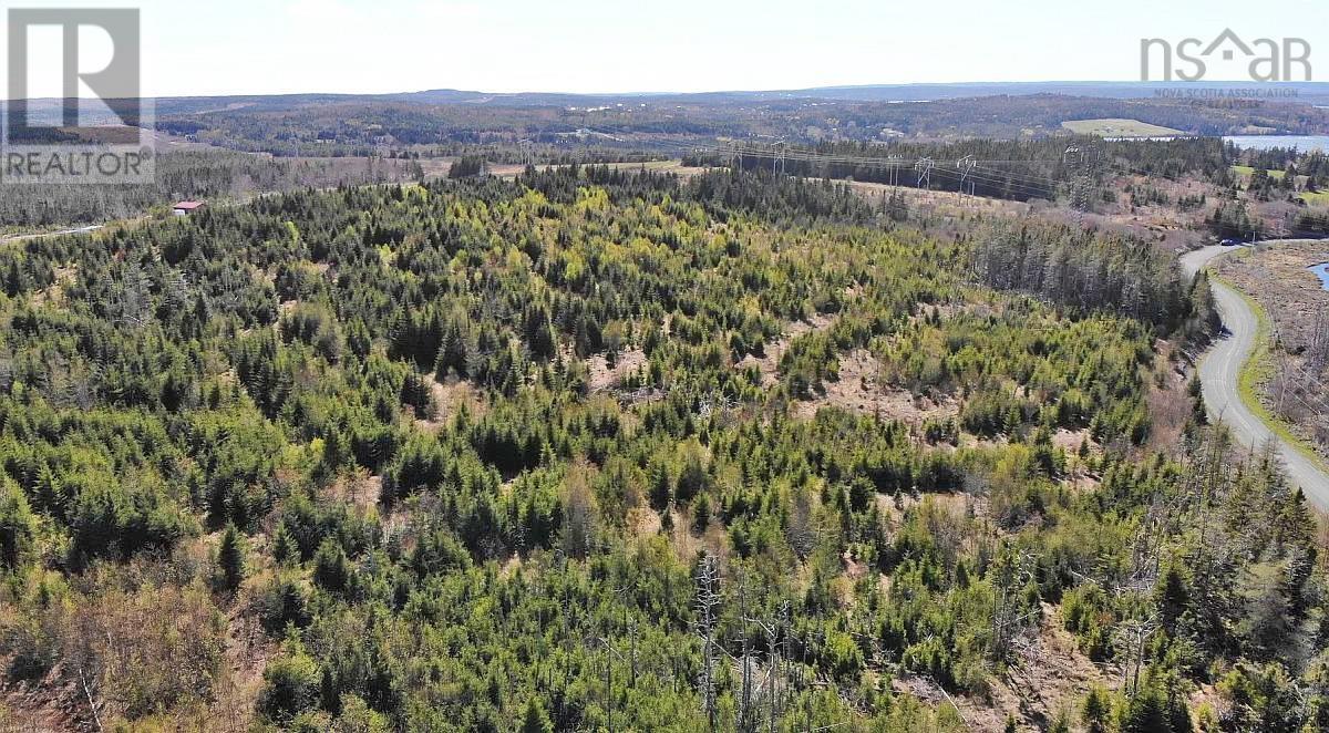 Lot 3 Rear Big Cove Road, Soldiers Cove, Nova Scotia  B0E 3B0 - Photo 16 - 202517506