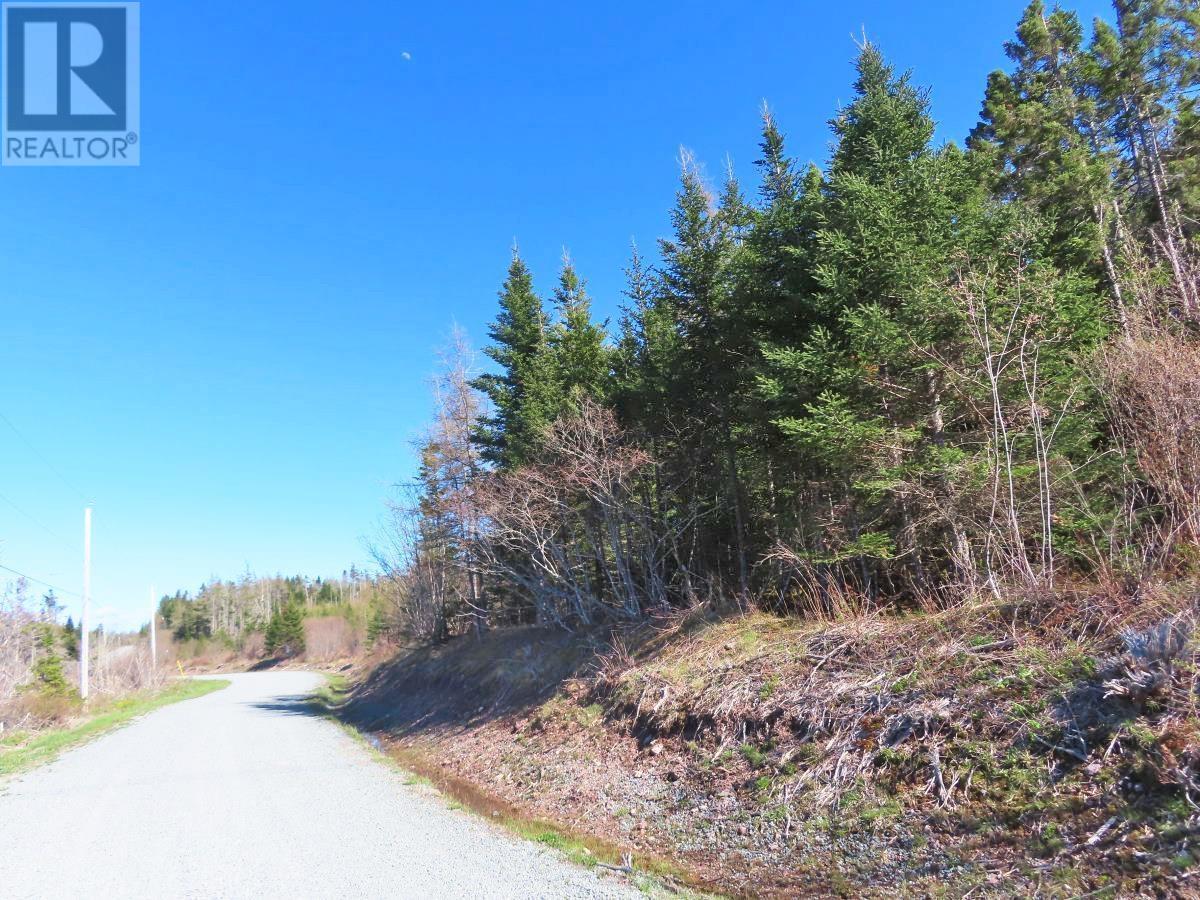 Lot 3 Rear Big Cove Road, Soldiers Cove, Nova Scotia  B0E 3B0 - Photo 7 - 202517506