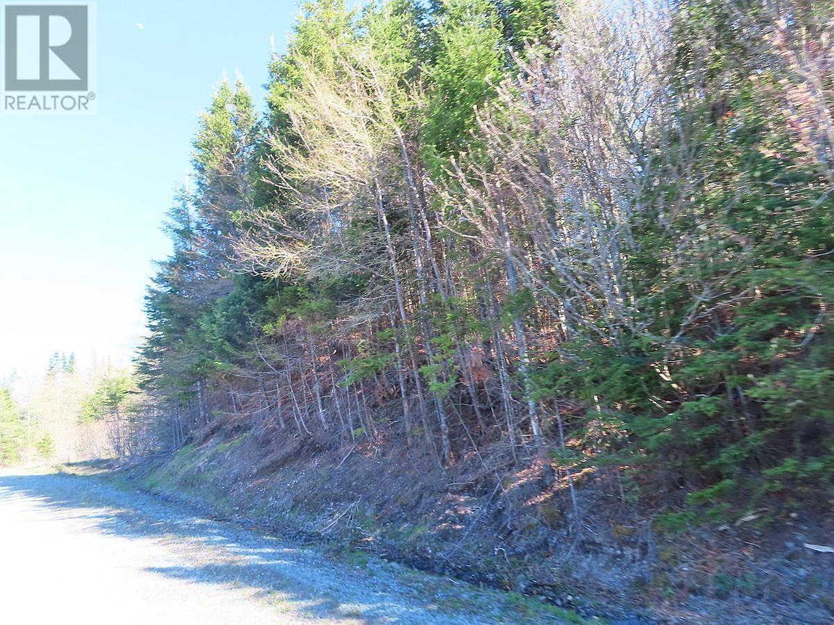 Lot 3 Rear Big Cove Road, Soldiers Cove, Nova Scotia  B0E 3B0 - Photo 9 - 202517506