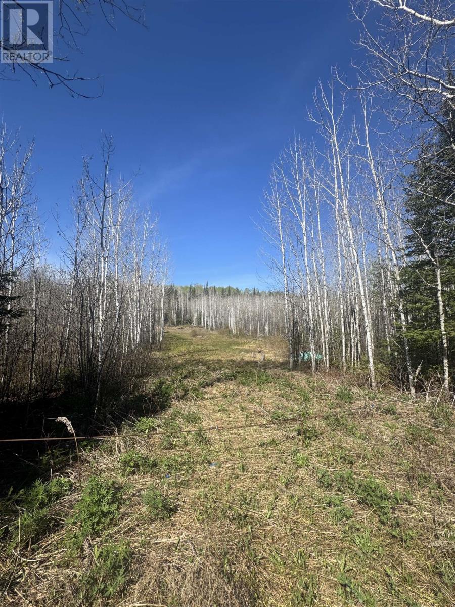466 Union School Rd S, Neebing, Ontario  P7L 0G2 - Photo 2 - TB2601255