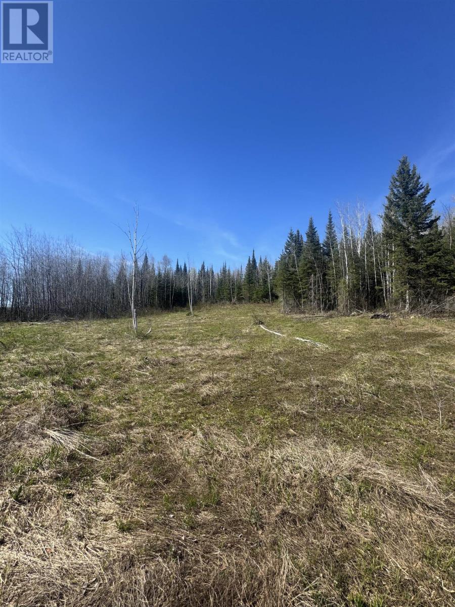 466 Union School Rd S, Neebing, Ontario  P7L 0G2 - Photo 3 - TB2601255