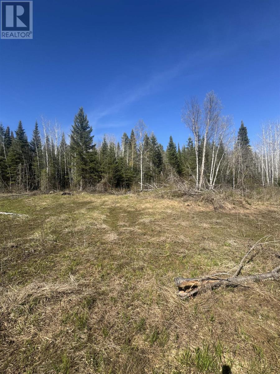 466 Union School Rd S, Neebing, Ontario  P7L 0G2 - Photo 4 - TB2601255