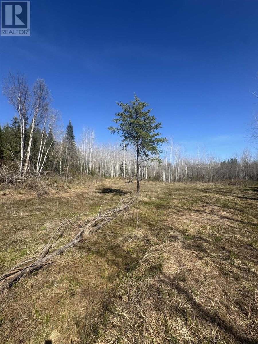 466 Union School Rd S, Neebing, Ontario  P7L 0G2 - Photo 5 - TB2601255