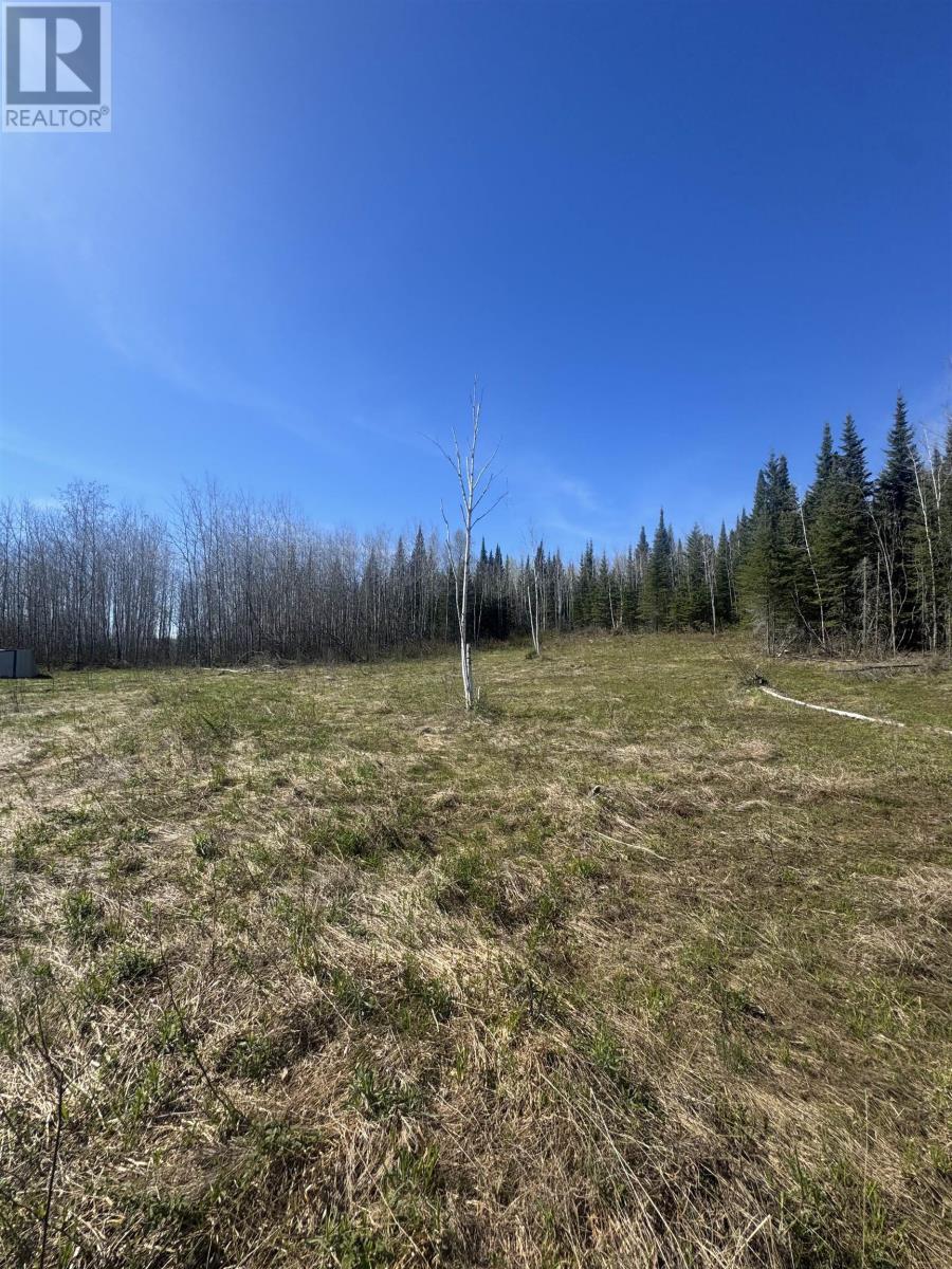 466 Union School Rd S, Neebing, Ontario  P7L 0G2 - Photo 6 - TB2601255
