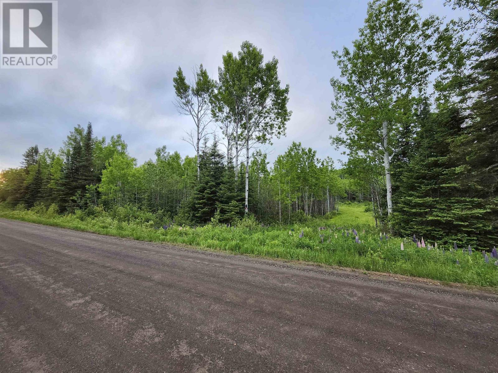466 Union School Rd S, Neebing, Ontario  P7L 0G2 - Photo 7 - TB2601255