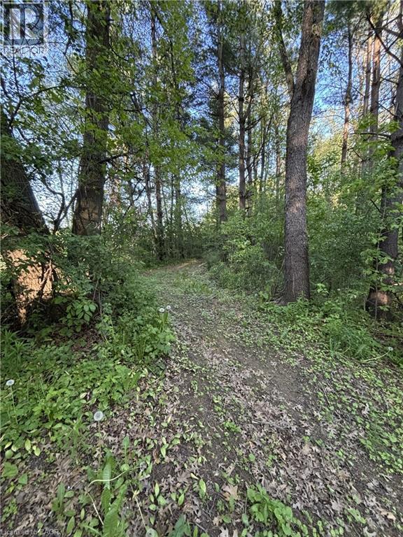 282 German School Road, Paris, Ontario  N3L 3E1 - Photo 48 - 40817726