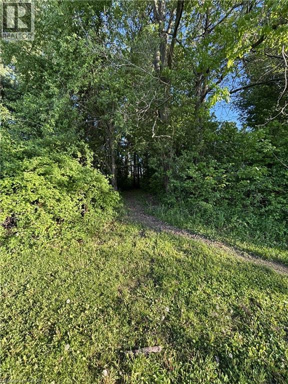282 German School Road, Paris, Ontario  N3L 3E1 - Photo 49 - 40817726