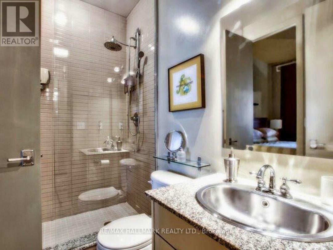 310 - 23 Brant Street, Toronto, Ontario  M5V 2L5 - Photo 11 - C13213966