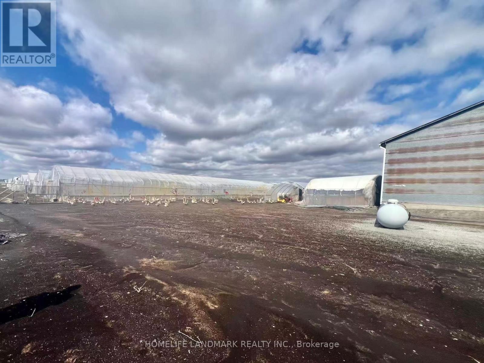 110 Aileen Avenue, King, Ontario  L3Y 4V9 - Photo 4 - N12781950