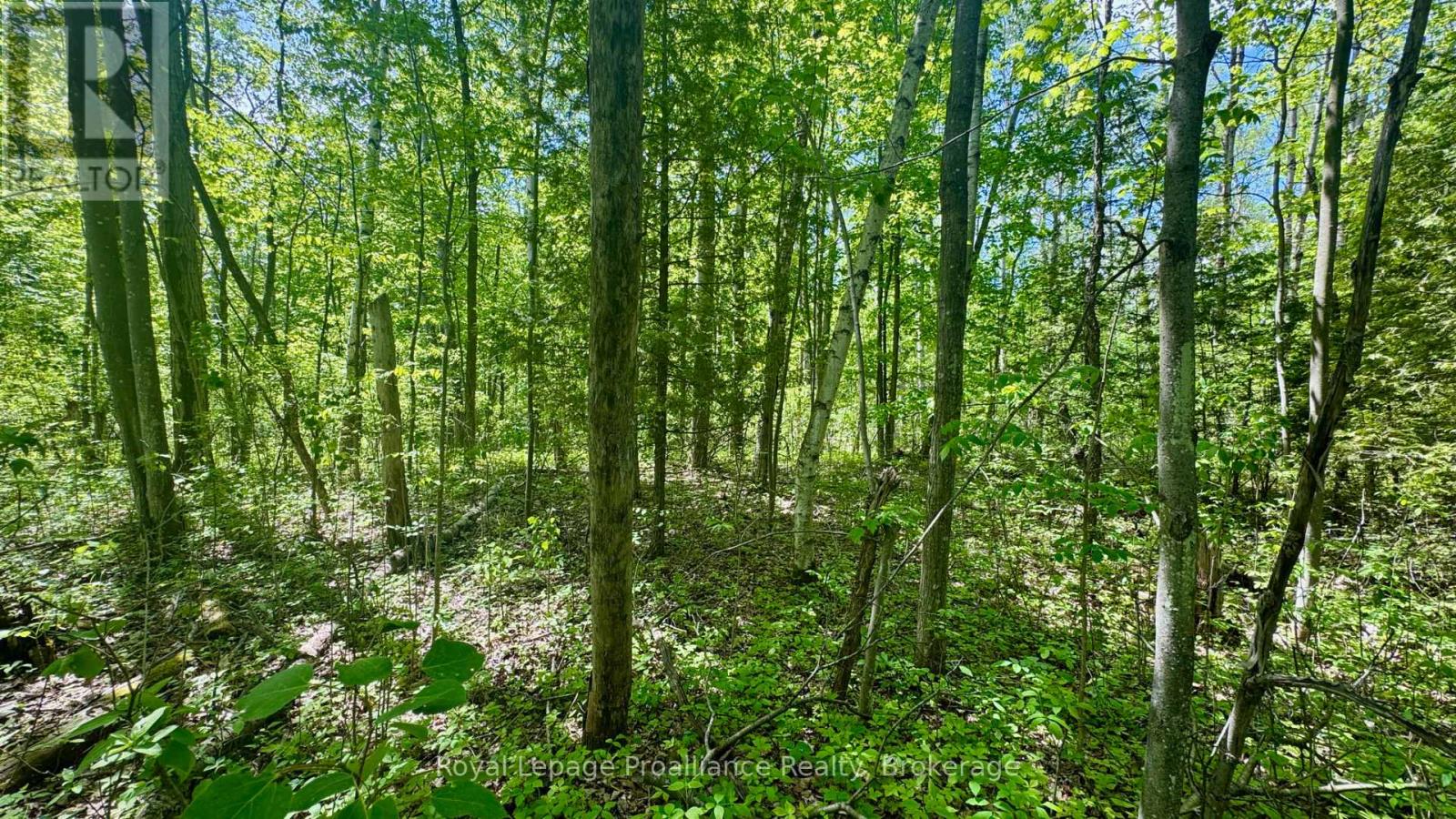 0 Teal Road, Quinte West, Ontario  K0K 3M0 - Photo 13 - X13213580