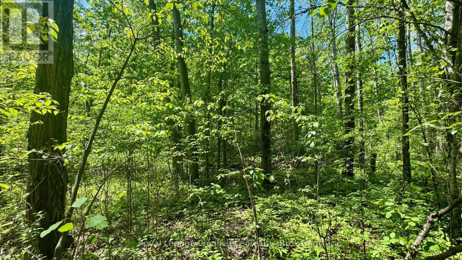 0 Teal Road, Quinte West, Ontario  K0K 3M0 - Photo 14 - X13213580