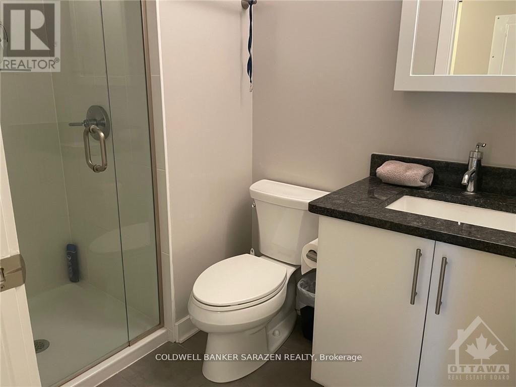 308 - 300a Lett Street, Ottawa, Ontario  K1R 0B7 - Photo 11 - X13022732
