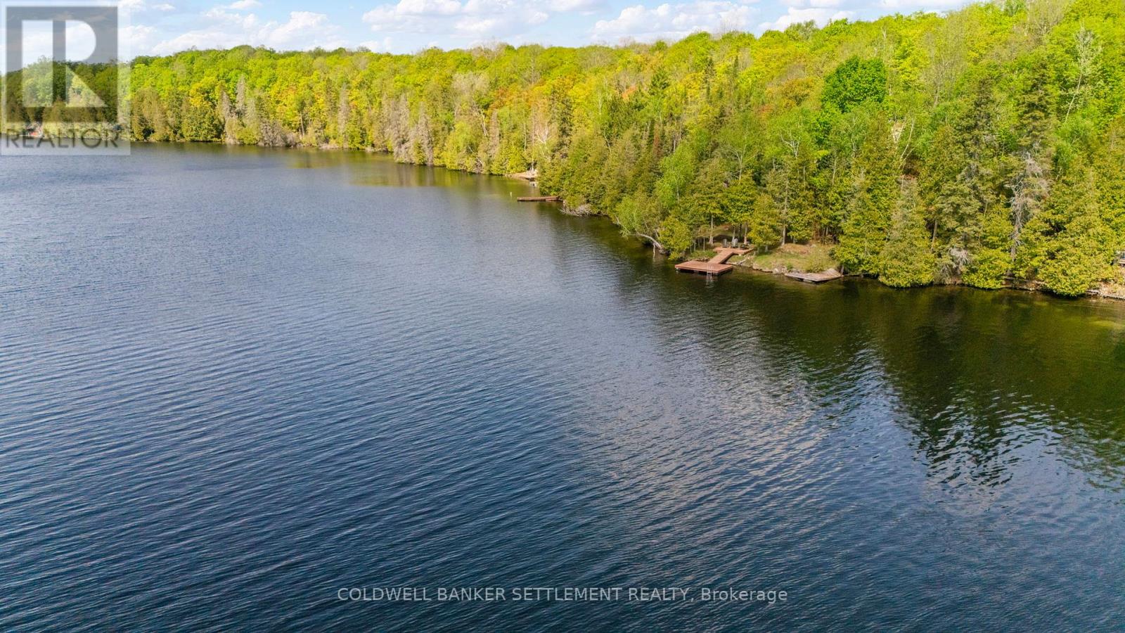 1247b Green Forest Way, Frontenac, Ontario  K0H 1C0 - Photo 7 - X13214284