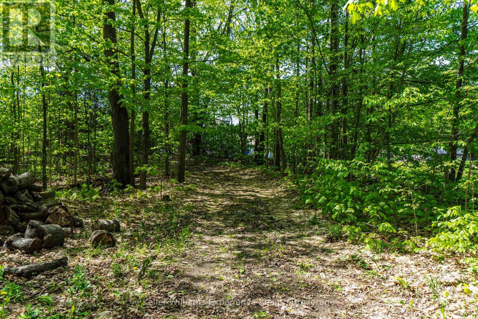 2555 Hodgins Road, Severn, Ontario  L0K 2C0 - Photo 41 - S13214304