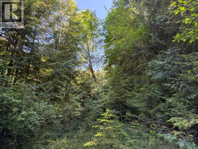 1902 Marble Bay Road, Texada Island, British Columbia   - Photo 21 - 19908