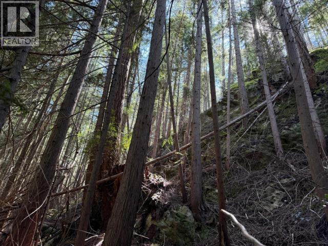 1902 Marble Bay Road, Texada Island, British Columbia   - Photo 23 - 19908