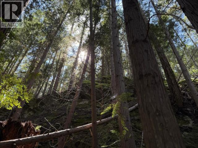 1902 Marble Bay Road, Texada Island, British Columbia   - Photo 24 - 19908