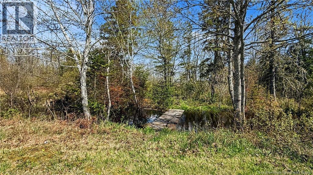 80 Saint Pierre, Rogersville, New Brunswick  E4Y 1L5 - Photo 31 - NB139826