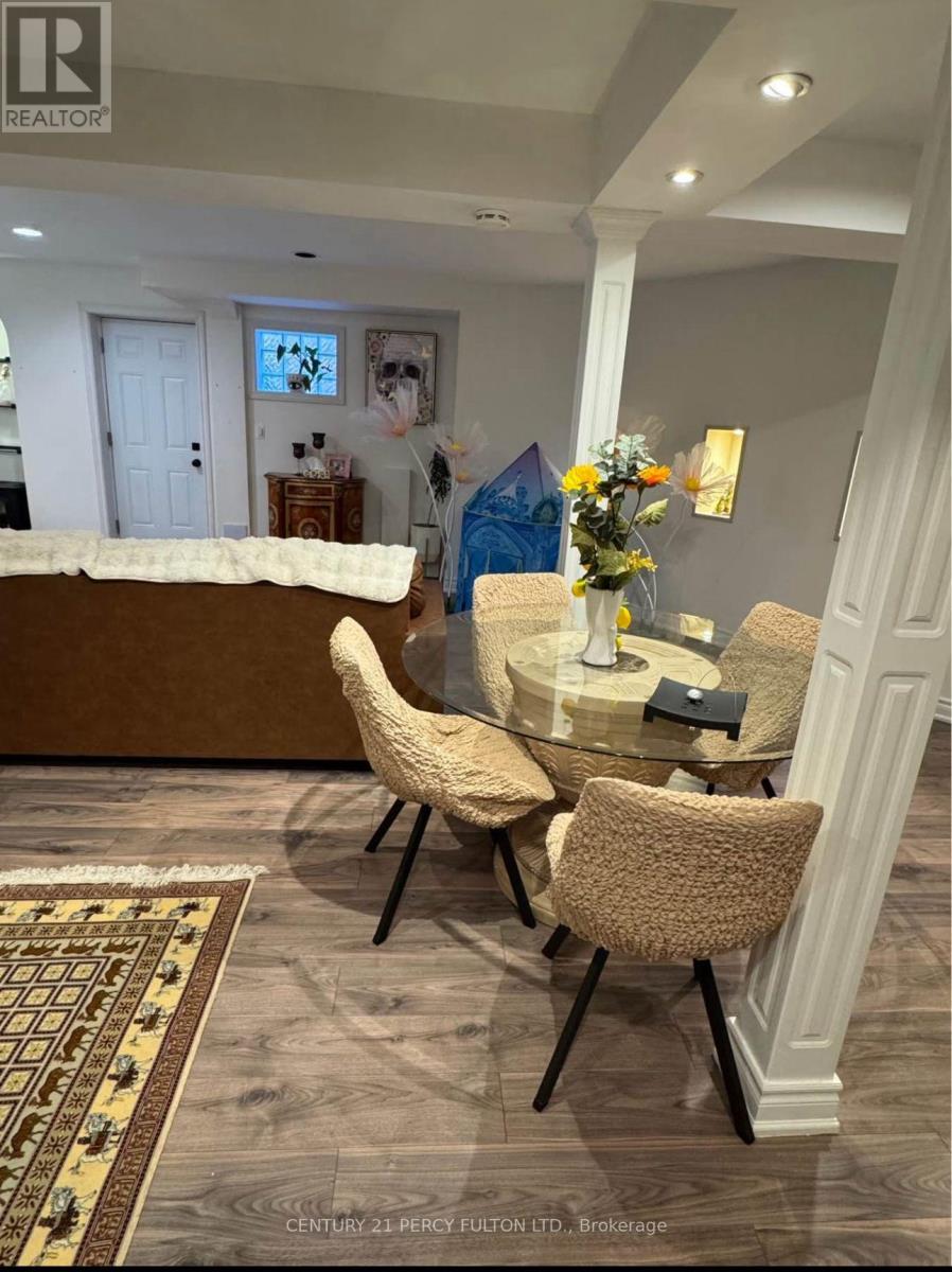 Basment - 207 Shaftsbury Avenue, Richmond Hill, Ontario  L4C 0E8 - Photo 3 - N13214260