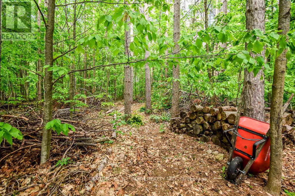 33 Reilly's Run, Springwater, Ontario  L0L 1Y3 - Photo 45 - S13214250