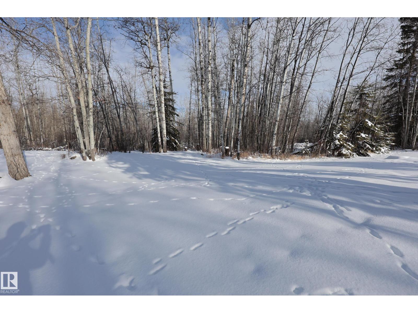 274032 Twp Road 480, Rural Wetaskiwin County, Alberta  T0C 2P0 - Photo 38 - E4474939