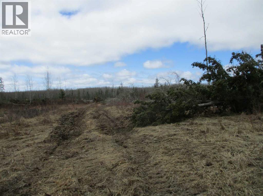Ne-19-86-24- W5th, Dixonville, Alberta  T0H 2M0 - Photo 2 - A2309202