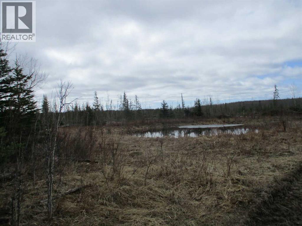Ne-19-86-24- W5th, Dixonville, Alberta  T0H 2M0 - Photo 4 - A2309202