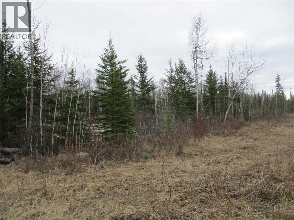Ne-19-86-24- W5th, Dixonville, Alberta  T0H 2M0 - Photo 3 - A2309202