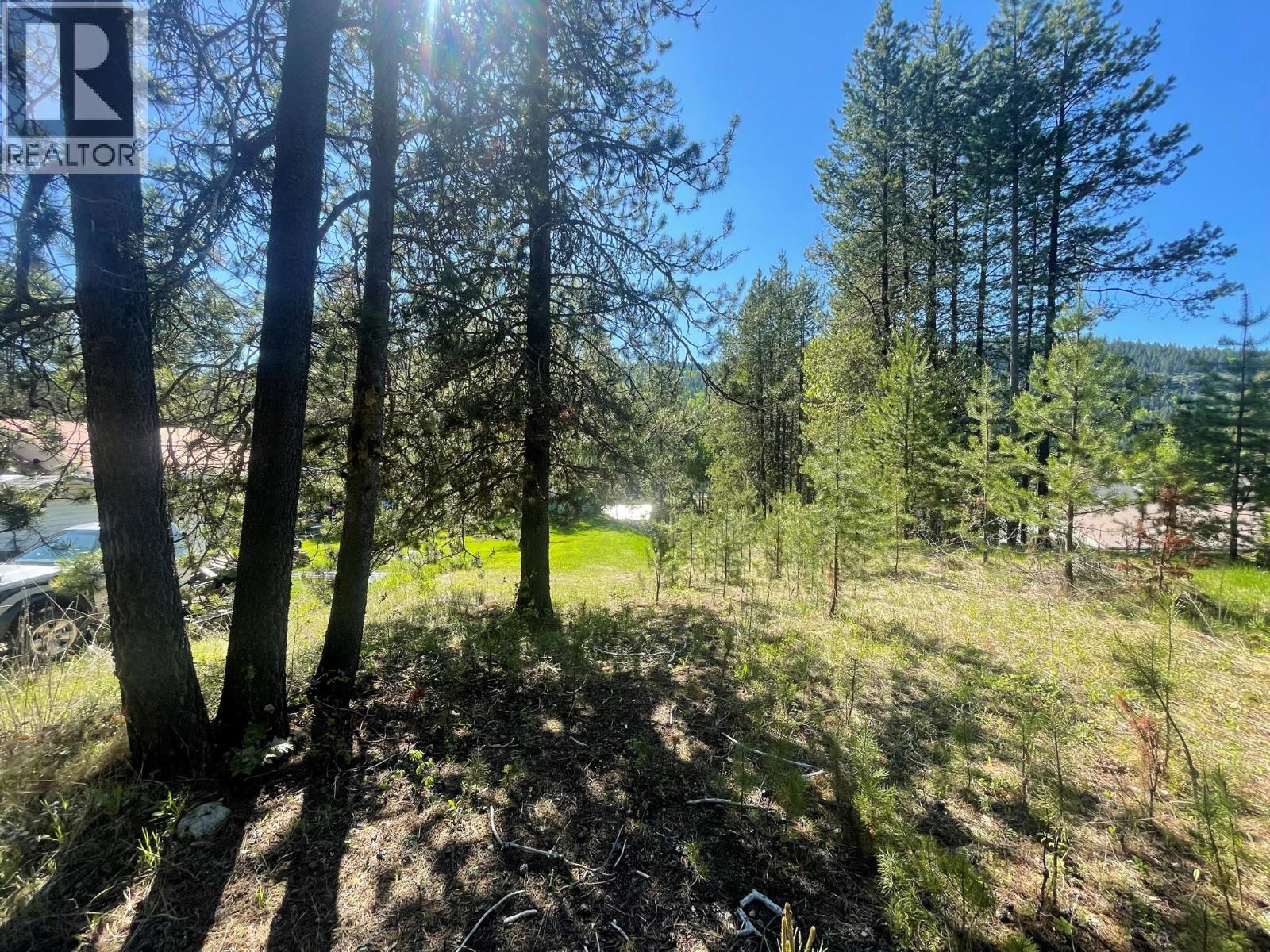 Lot 4 Strathmore Avenue Lot# 4, Greenwood, British Columbia  V0H 1J0 - Photo 5 - 10389387