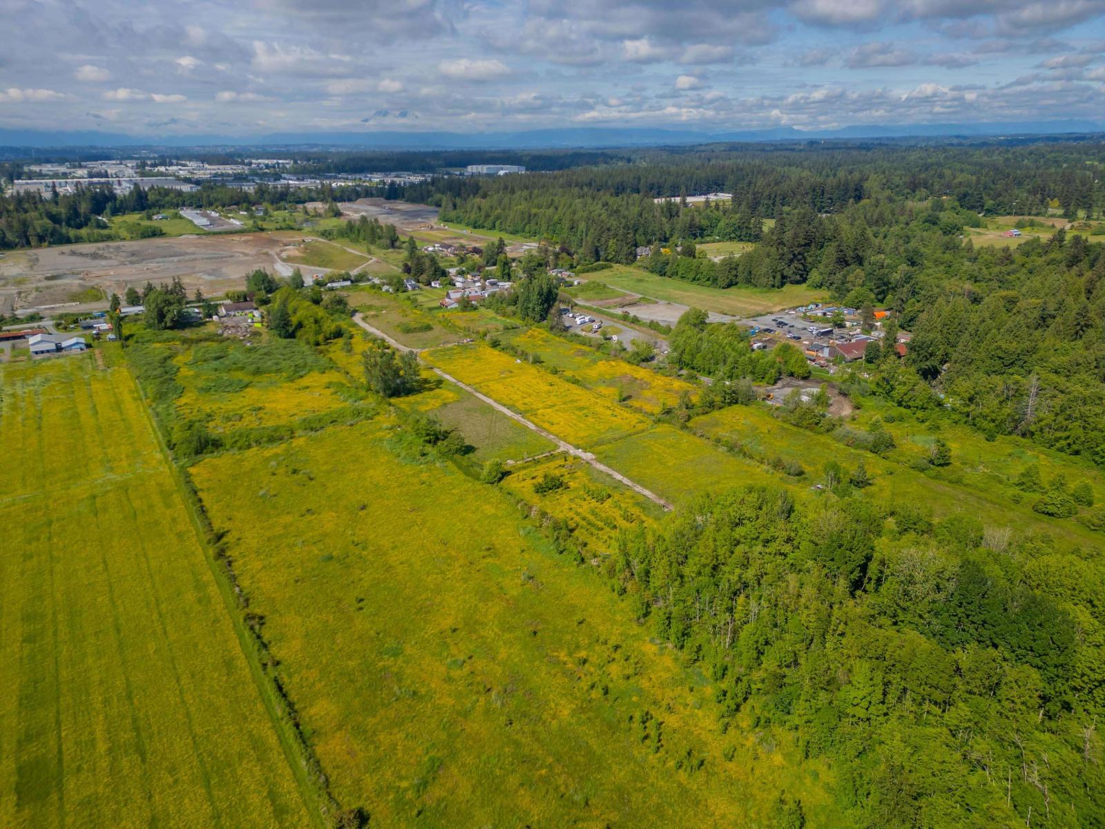 18952 16th Avenue, Surrey, British Columbia  V3S 9V2 - Photo 10 - R3129614