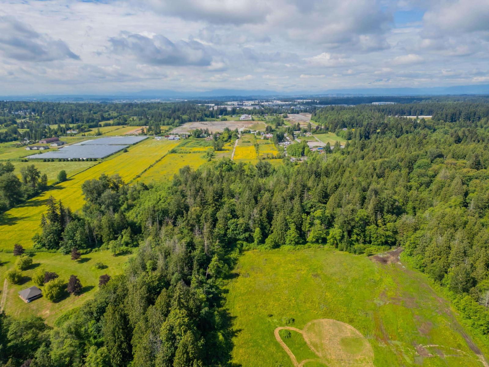 18952 16th Avenue, Surrey, British Columbia  V3S 9V2 - Photo 7 - R3129614