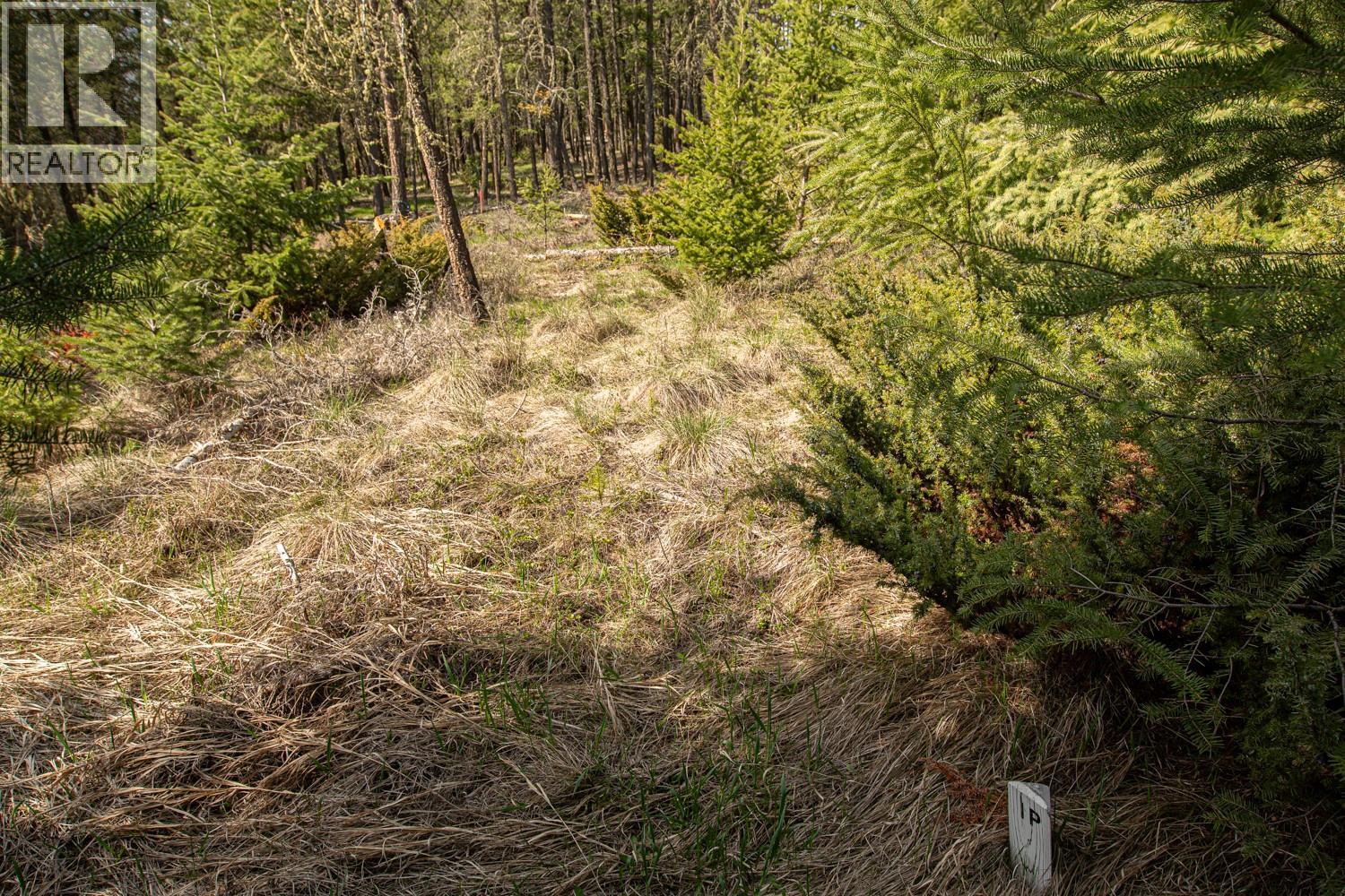 Lot 22 Mountain View Drive, Fairmont Hot Springs, British Columbia  V0B 1L1 - Photo 29 - 10388875