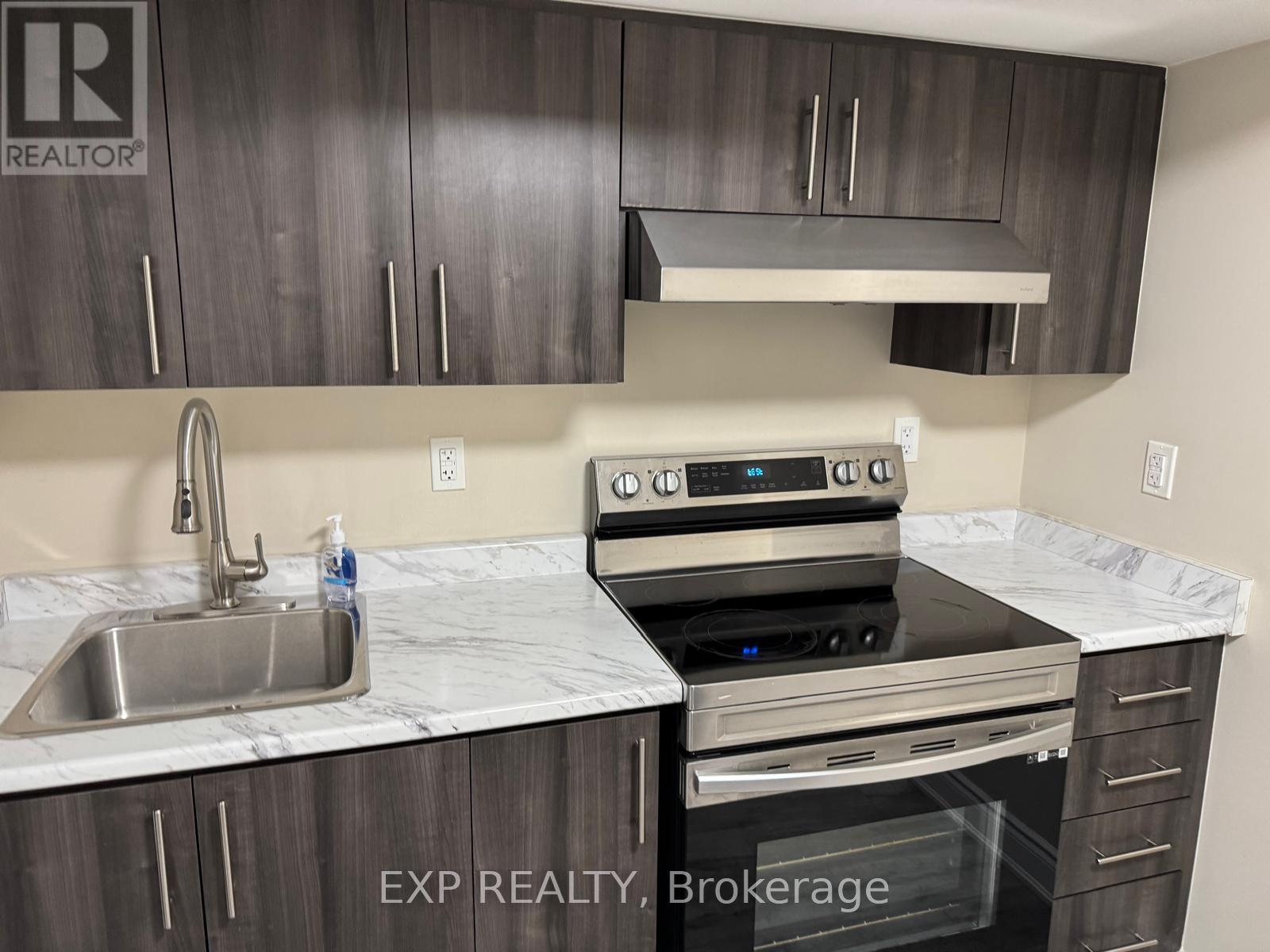 Basement - 272 Duncan Lane, Milton, Ontario  L9T 7A8 - Photo 2 - W13214410