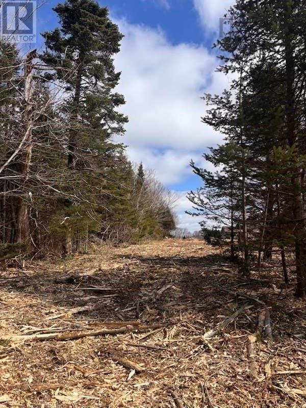 Lot Kl-3 Walker Street, Lake Echo, Nova Scotia  B2Z 1M9 - Photo 1 - 202603773
