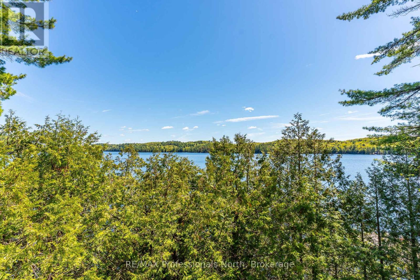 10167 Little Hawk-West Sho, Algonquin Highlands, Ontario  K0M 1S0 - Photo 19 - X13214778