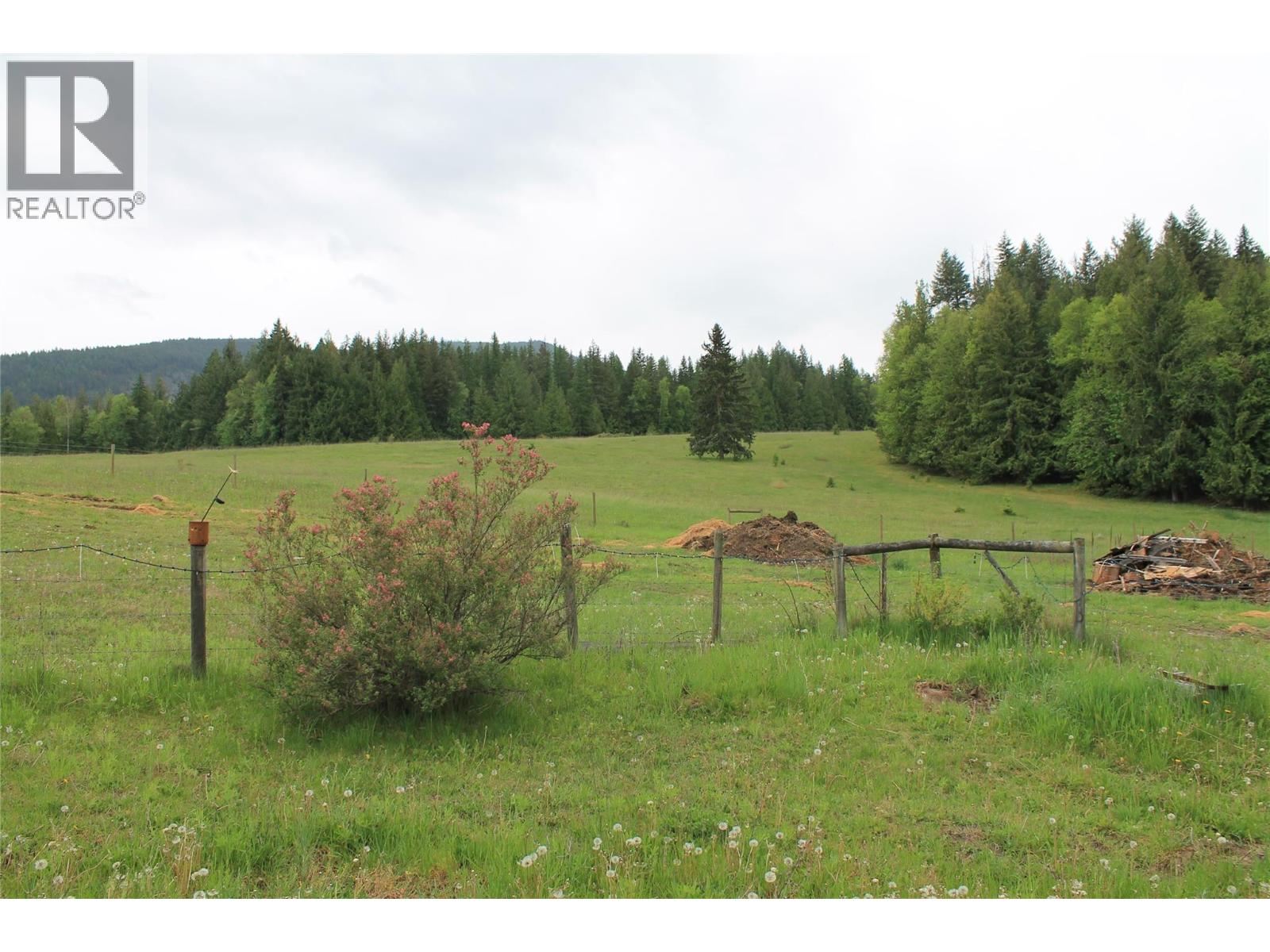 2301 Lumby Mabel Lake Road Lot# 1, Lumby, British Columbia  V0E 2G6 - Photo 13 - 10389416