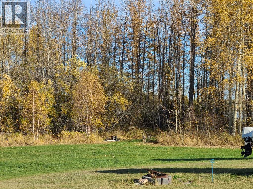 #13, 70539 Rr 250, Rural Greenview No. 16, Alberta  T0H 3N0 - Photo 11 - A2288574