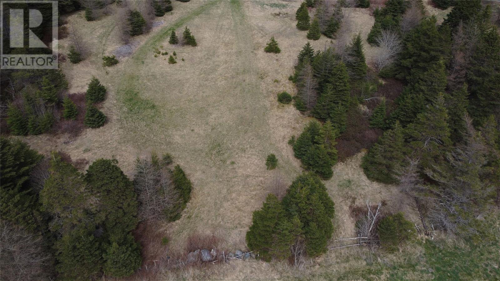 0 Beaver Pond Road Road, Roaches Line, Newfoundland & Labrador  A0A 1W0 - Photo 14 - 1289187