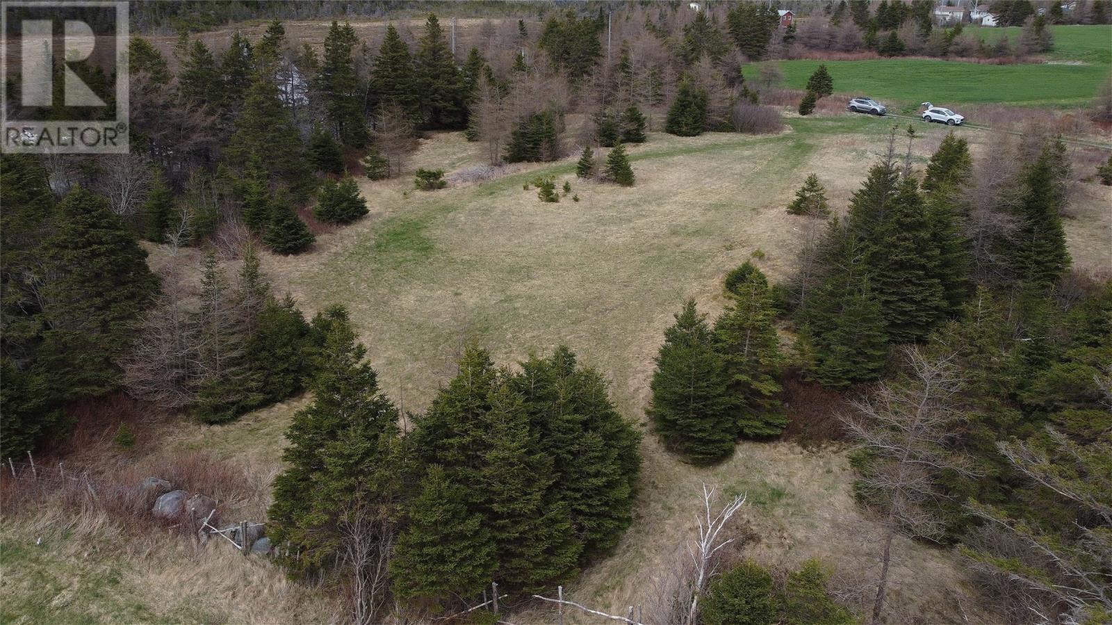 0 Beaver Pond Road Road, Roaches Line, Newfoundland & Labrador  A0A 1W0 - Photo 11 - 1289187