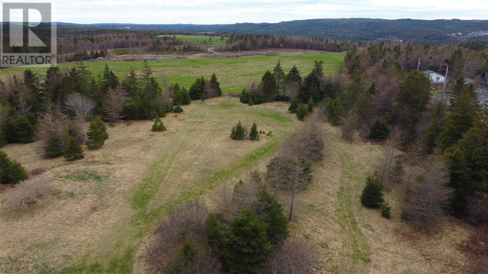 0 Beaver Pond Road Road, Roaches Line, Newfoundland & Labrador  A0A 1W0 - Photo 15 - 1289187