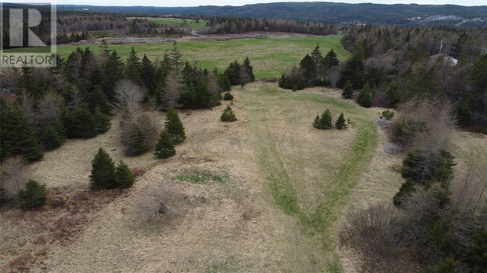 0 Beaver Pond Road Road, Roaches Line, Newfoundland & Labrador  A0A 1W0 - Photo 19 - 1289187